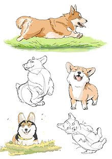 dogs4.png