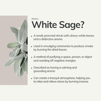 Sage: A Spiritual Plant for Clearing, Calm, and Fresh Starts