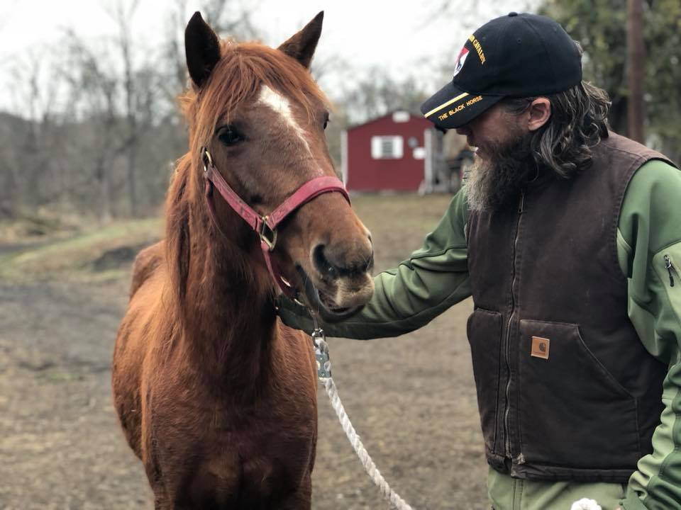 The Unbridled Heroes Project works with horses