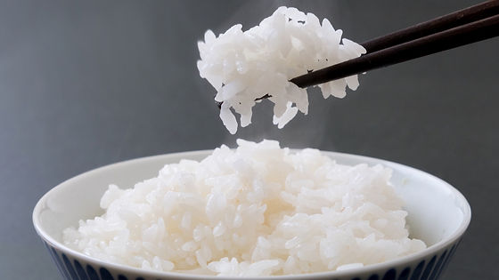 白ご飯(150g)