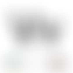 Bold black "Vv" on white background, text "Verdana" below. "An Incomplete History of Type" logo in the bottom left, small photo of guest host, Sol Riquero, in the bottom right corner.