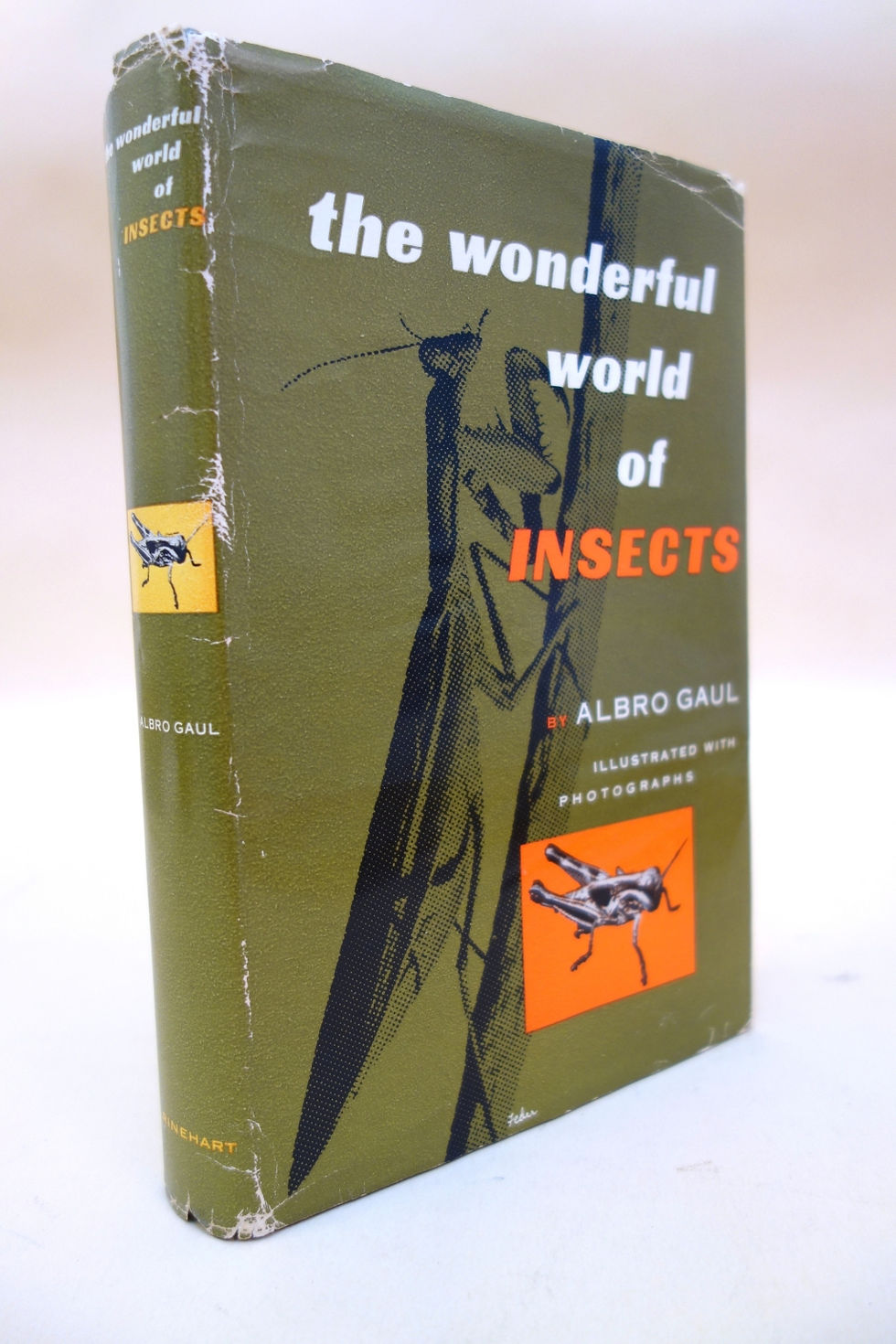 Worn olive-green book cover of The Wonderful World of Insects by Albro Gaul, with insect illustrations and white-orange text.