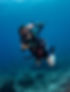 Scuba Selah.jpg