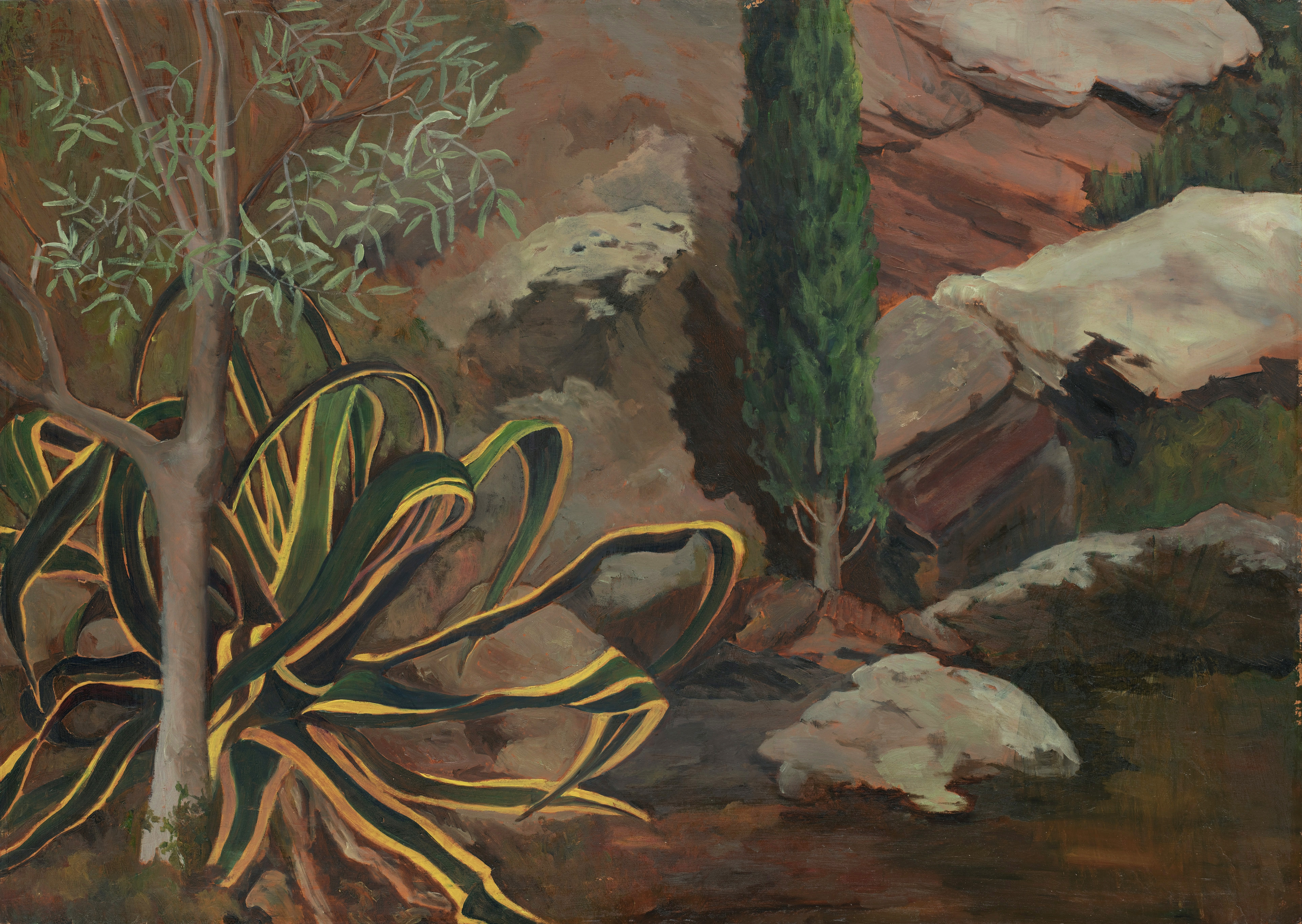 l'agave pieuvre