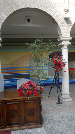 Ayuntamiento Cazorla (5).jpg