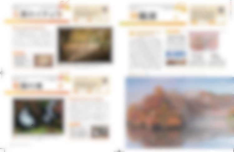ree