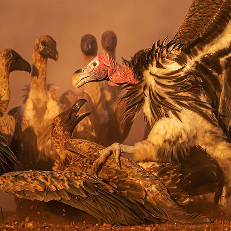 المصور الكويتي محمد مراد يفوز بالمركز الأول في مسابقة «مونت فوتو» للتصوير الفوتوغرافي