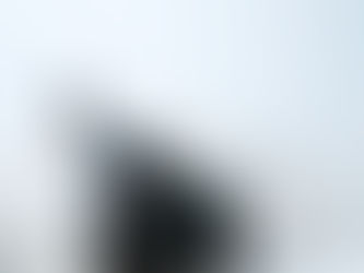 Separation anxiety: how lockdown could affect our dogs and what to do