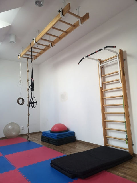 Thumbnail: Brachiation Gymnastic ladders with 9 rungs, code 281