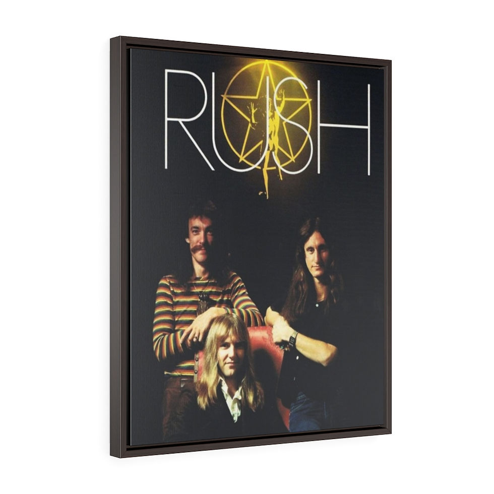 Thumbnail: Vertical Framed Premium Gallery Wrap Canvas. Rush