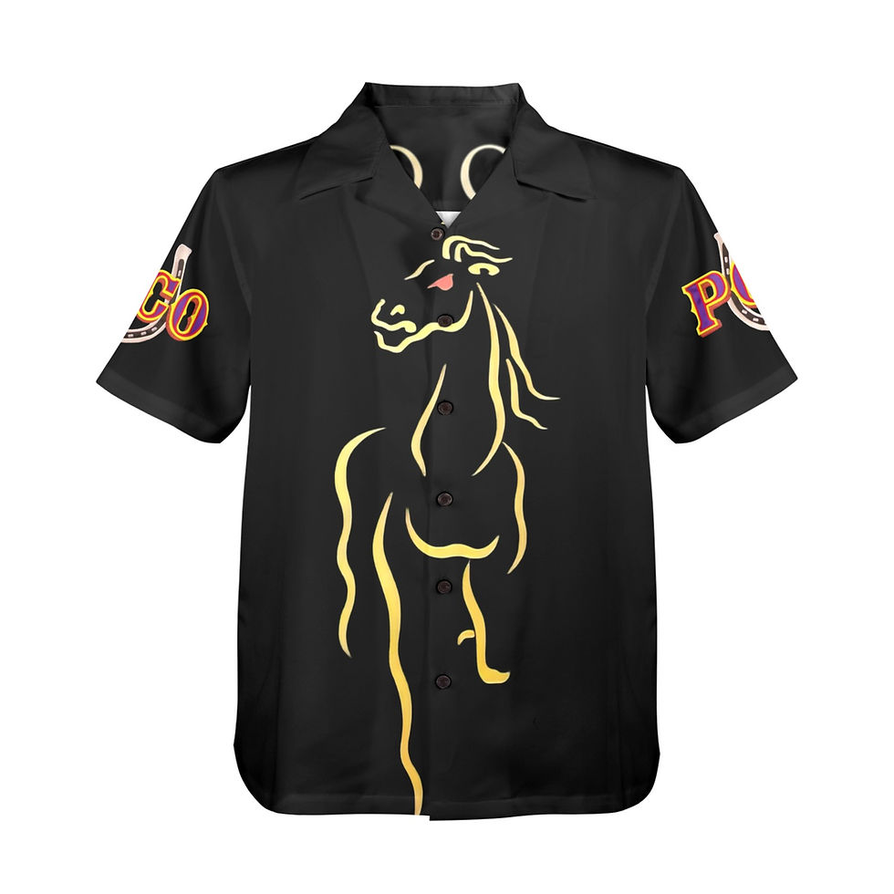 Thumbnail: Hawaiian Shirt Poco Front2