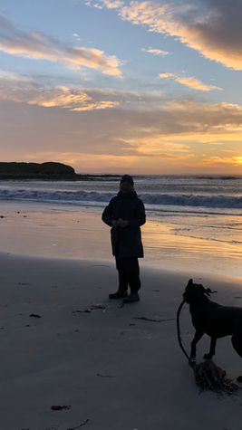 Picture of a dog being walked close to West Shaird Self Catering Farmhouse in South Ronaldsay Orkney