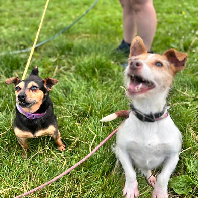 Toby and Coco