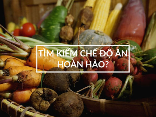 Dinh dưỡng tích hợp (Phần 1): vì sao mỗi người cần ăn theo một cách riêng?