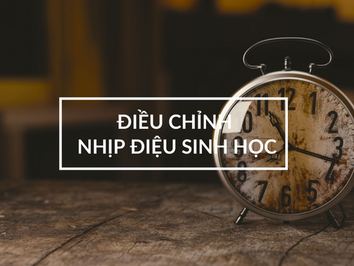 Điều chỉnh Nhịp Điệu Sinh Học theo chu kỳ Ngày - Đêm (Podcast Transcript)