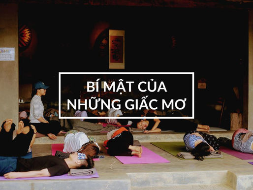 Tiềm năng mới của giấc ngủ (khám phá não bộ trong thực hành Yoga Nidra)