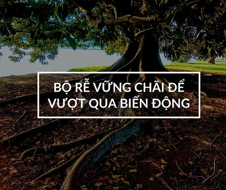 Thực tập cắm rễ: mỏ neo cho sự cân bằng Thân-Tâm mỗi ngày