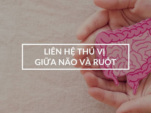 Trục Não – Ruột và những tác động lên đời sống hàng ngày của bạn