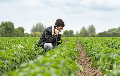 Foto's Daan KMWP veld-3_edited.jpg