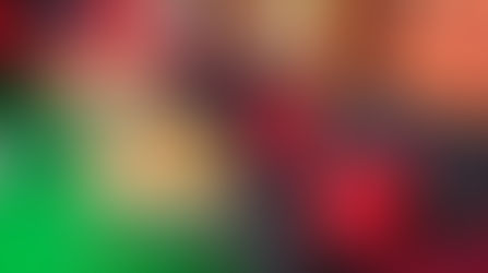 Котофейня и lingua zone: необычные антикафе