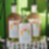 RPS Rhub 1.5.jpg
