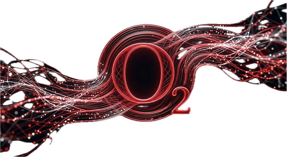 image2.png