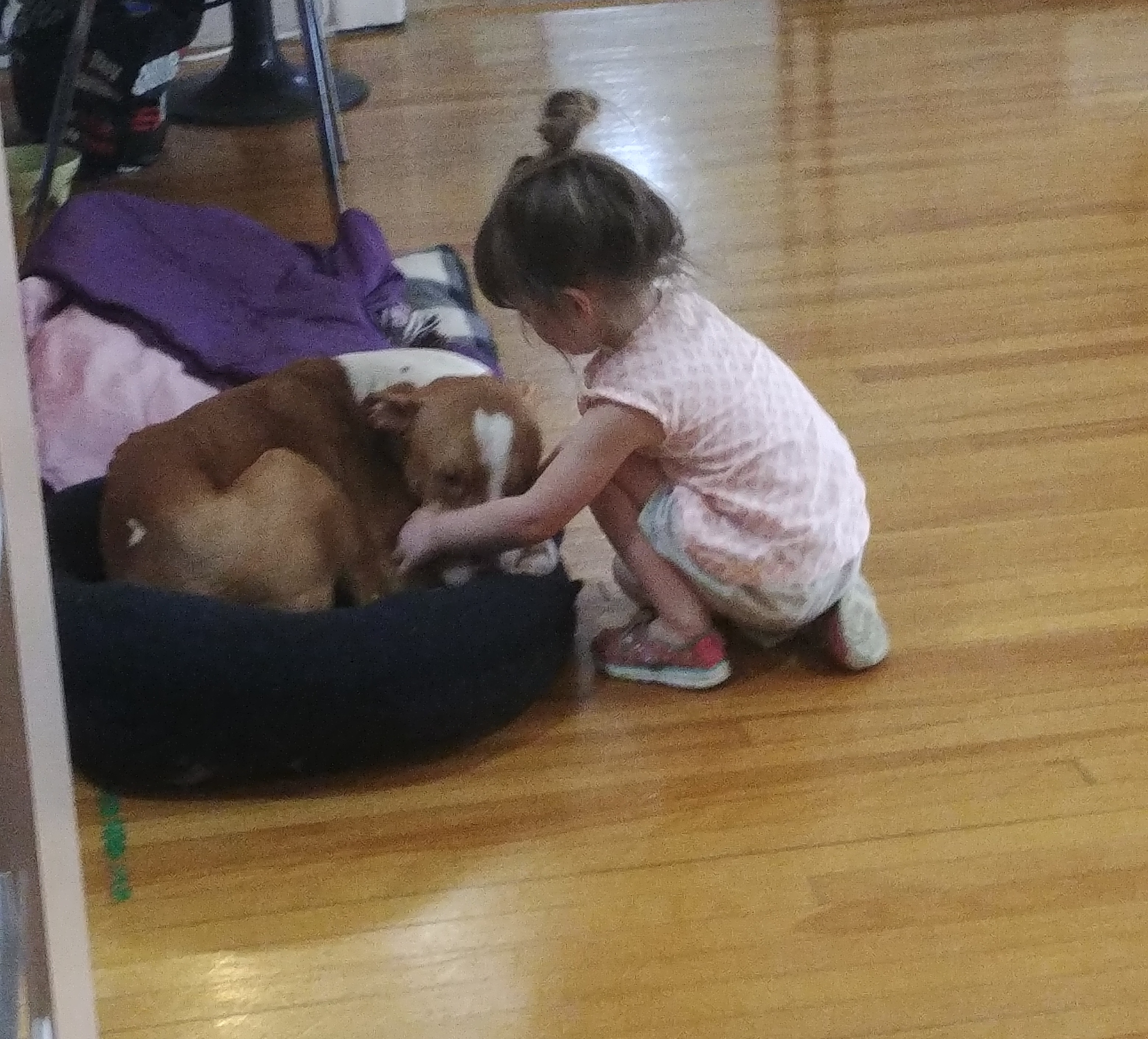 Tank and Charley
