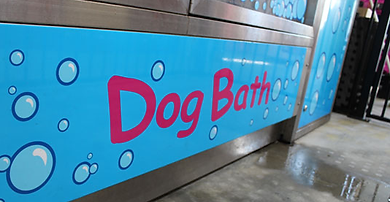 sunshine coast pet store, sunshine coast pet supplies, sunshine coast pet store, sunshine coast pet shop