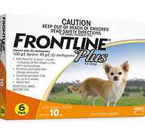sunshine coast pet store, sunshine coast pet supplies, sunshine coast pet store, sunshine coast pet shop
