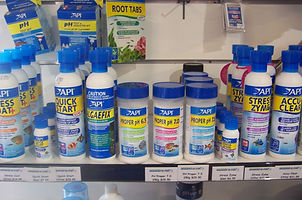 Come and see our aquarium at the best sunshine coast pet store around. We have all the animal supplies you could need to keep your pets happy. For all your sunshine coast pet supplies come and see our friendly team today.