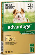 sunshine coast pet store, sunshine coast pet supplies, sunshine coast pet store, sunshine coast pet shop