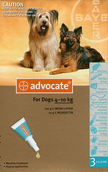 sunshine coast pet store, sunshine coast pet supplies, sunshine coast pet store, sunshine coast pet shop