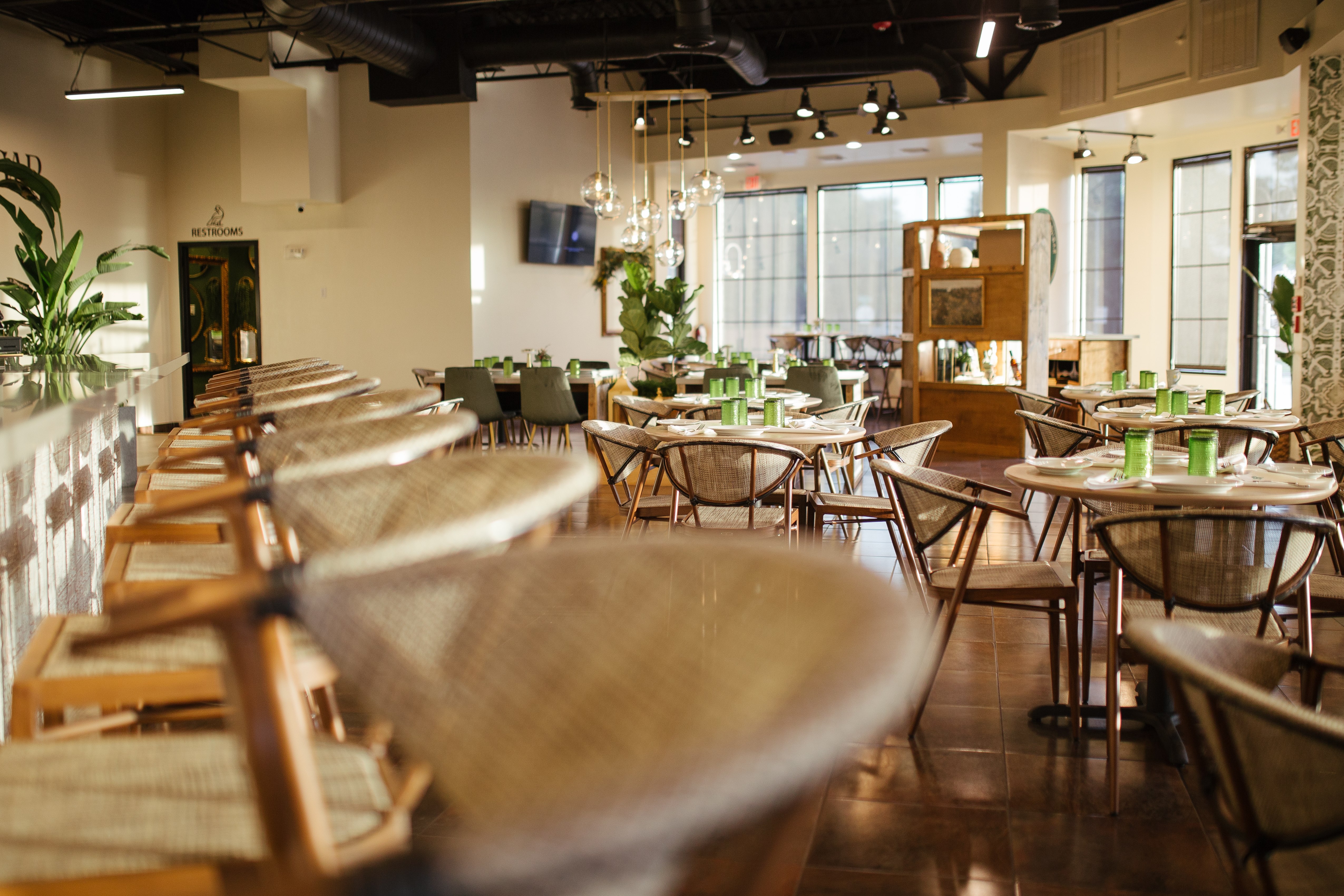 Arranged Food and Objects