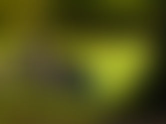 Two women enjoying the serene park setting with a wheelchair beside them on a bench.