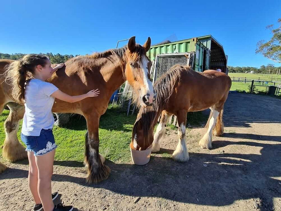 respite activities in the queensland