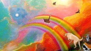 immagine di un arcobaleno su cui camminano gli animali