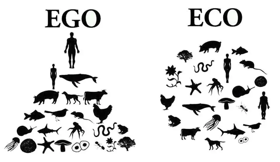 Si raffigurano due immagini: la prima è una piramide rappresentata dalla scritta "EGO", pone al vertice l'uomo e via via animali sempre meno centrali per la vita dell'uomo stesso. L'altra immagine "ECO" è una figura a cerchio in cui tutti gli animali e l'uomo stesso sono raffigurati in ordine sparso indicando un'importanza eguale tra tutti gli esseri viventi.