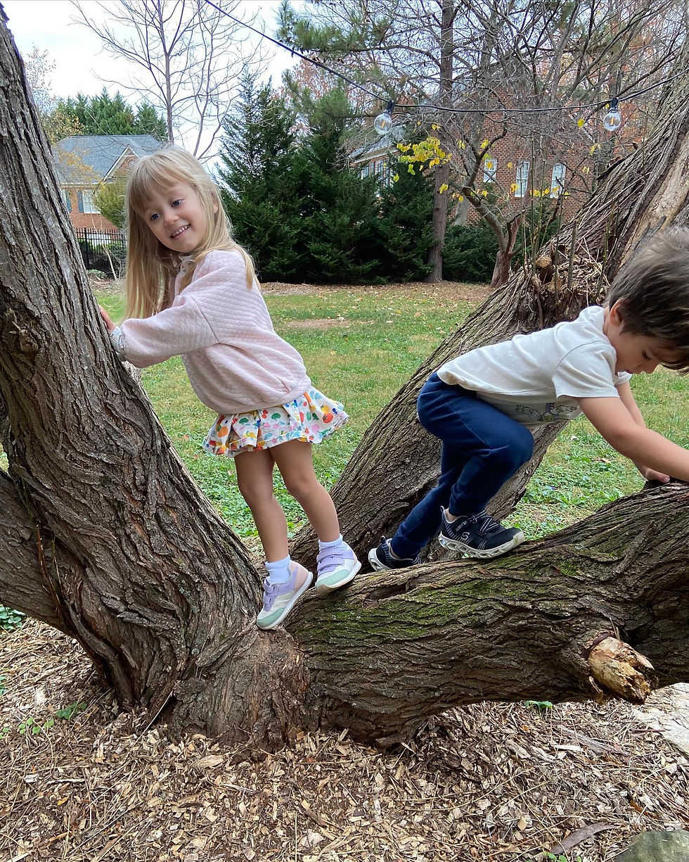 Seedling Explorers Camp: RECess Edition! Ages 3-5