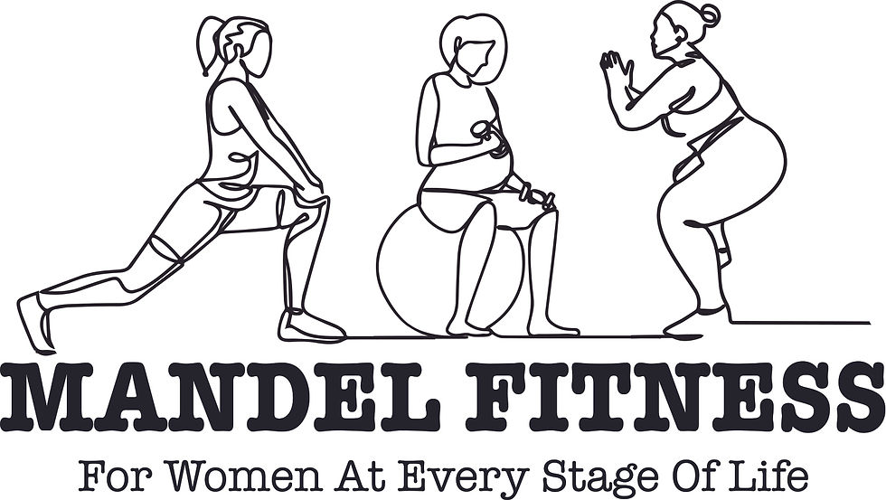 Mandel Fitness Bootcamp- All Levels Circuit Workout!