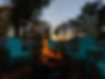 IMG-3999.JPG