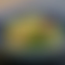 Immune supportive 'Shredded chicken with Lemon & Capers'