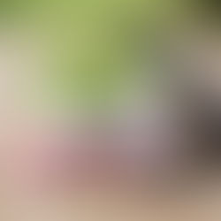 Humus salad in a jar