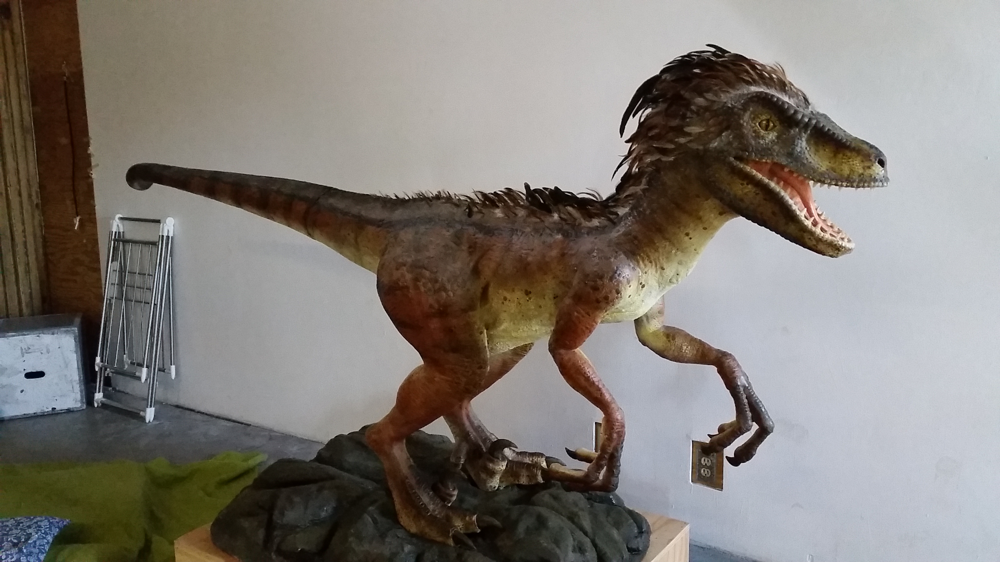 Life-size Velociraptor