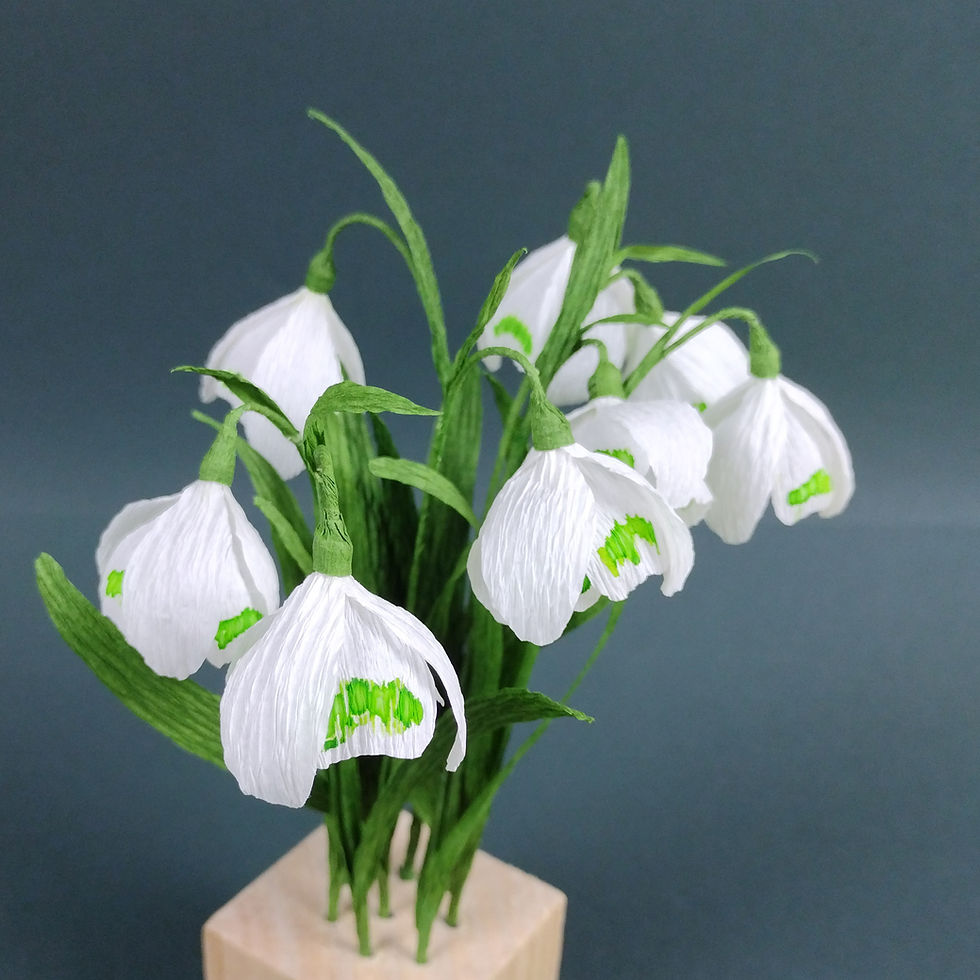 Thumbnail: Snowdrop Craft Kit