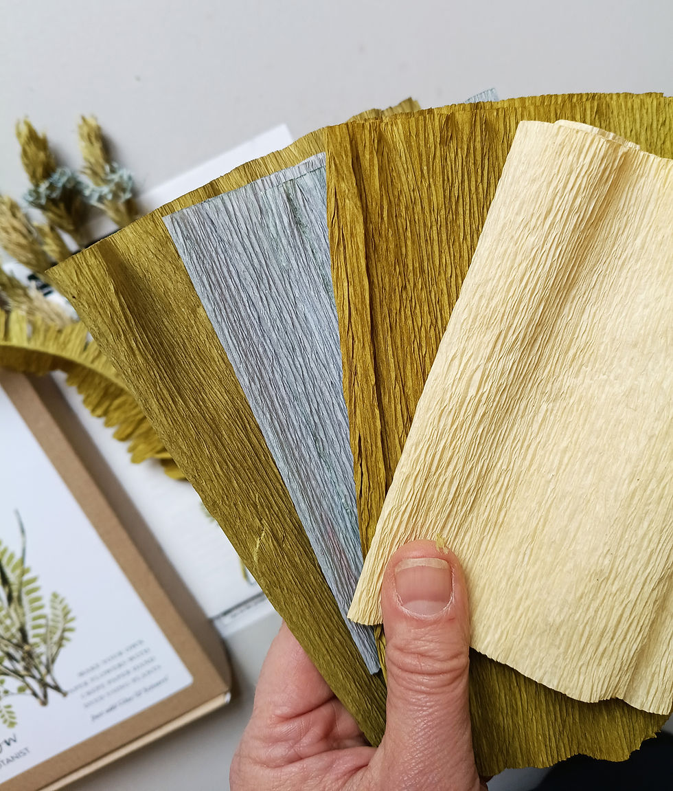 Thumbnail: Ferns & Grasses: Plant Dyed Paper (PDP) Craftkit for Paper Flower Making