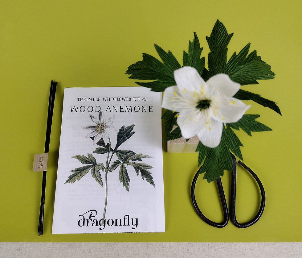 Thumbnail: Wood Anemone Craft Kit
