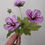 Thumbnail: Meadow Cranesbill Paper Flower Craftkit