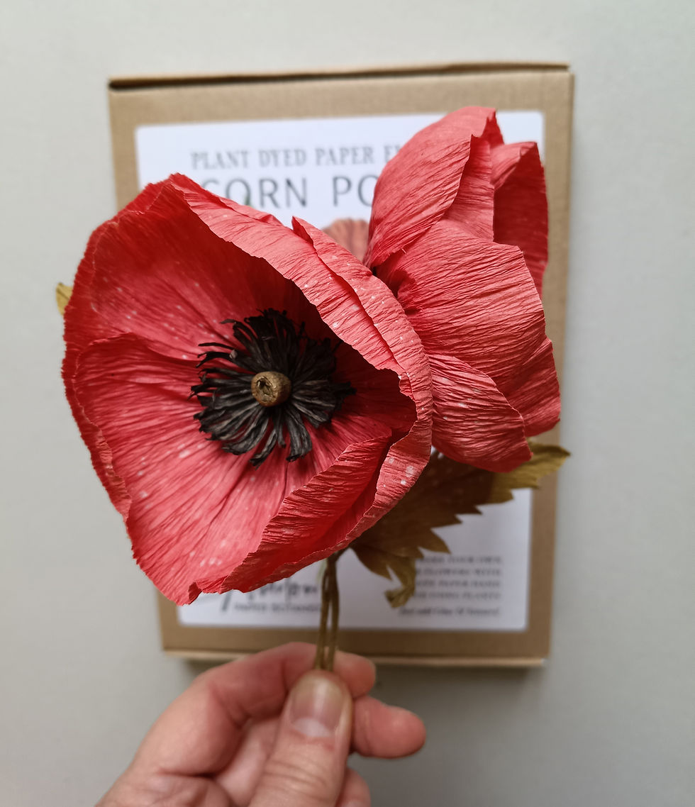 Thumbnail: Field Poppy: Plant Dyed Paper(PDP) Craftkit for Paper Flower Making