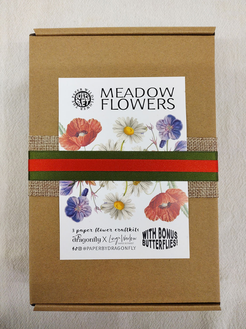 Thumbnail: Meadow Flowers: A Paper Wildflower Gift Box