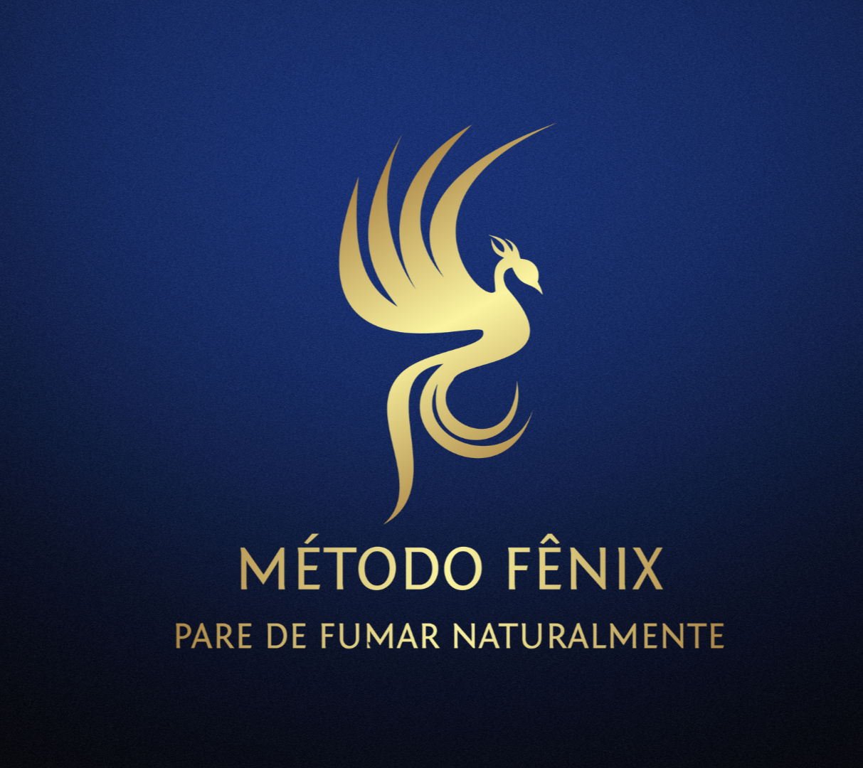 capa video (4)_edited.jpg